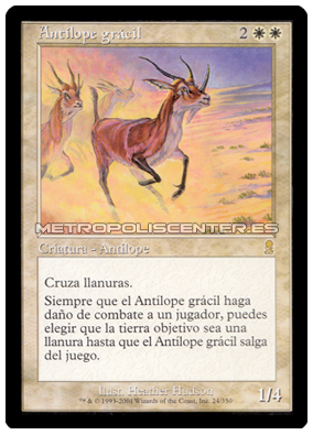 Antilope gracil